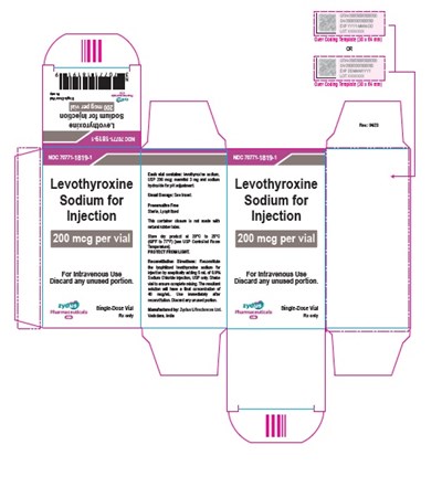 200 Mcg Carton Label (58d487b9 D60d 4b2b B9ca 5ee151707c15 02)