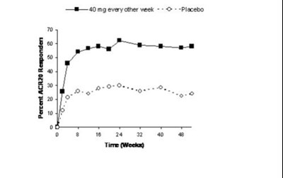 Birdi Figure 1 (Avt02 Unbranded Birdi 1)