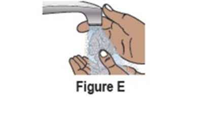 Figure 6 (Avt02 Unbranded Birdi 10)