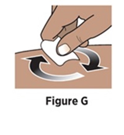 Figure 8 (Avt02 Unbranded Birdi 12)