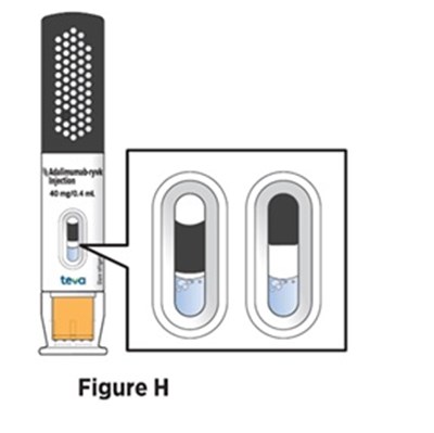 Figure 9 (Avt02 Unbranded Birdi 13)