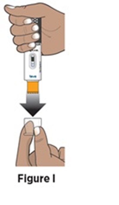 Figure 10 (Avt02 Unbranded Birdi 14)