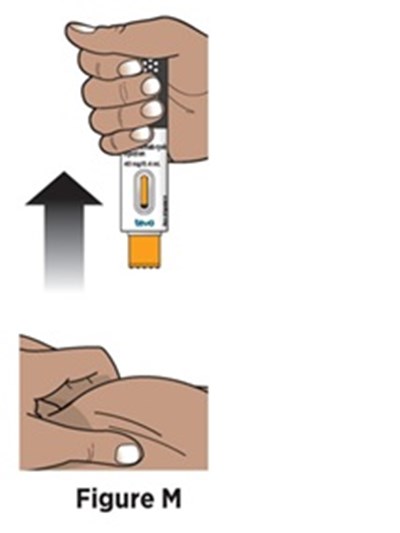 Figure 13 (Avt02 Unbranded Birdi 17)