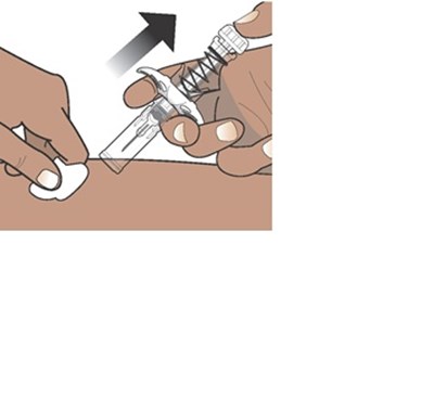 Pfs Figure 42 (Avt02 Unbranded Birdi 46)