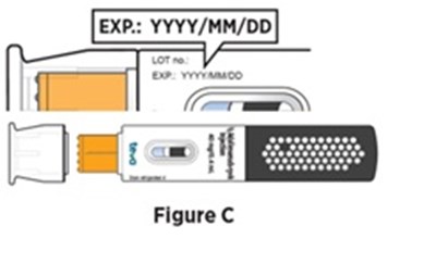 Figure 4 (Avt02 Unbranded Birdi 8)