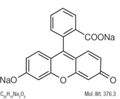 Chemfluorescein (Image 02)