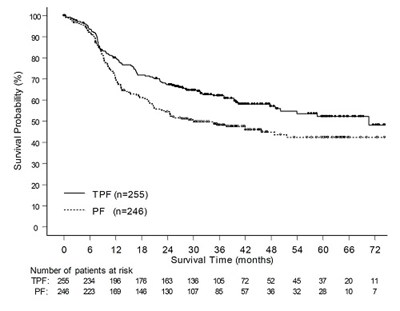 Figure 10 (Doc08 0000 11 V2)