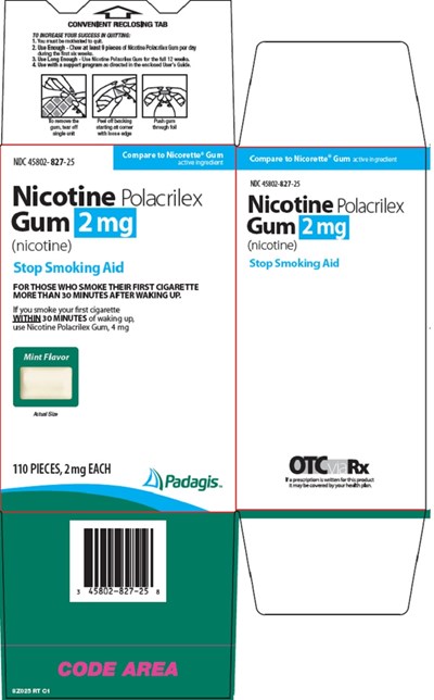 Nicotine Polacrilex Gum-image 1 (Image 11)