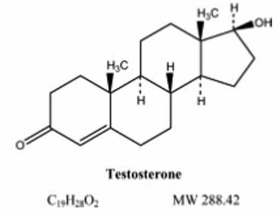 testosterone-gel-2.jpg chem structure - testosterone gel 2
