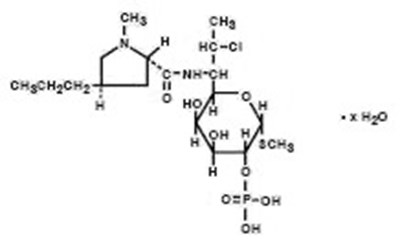 Chemical Structure - cleocin 01