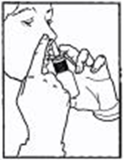 Figure 3 (Atrovent 03pct 04)