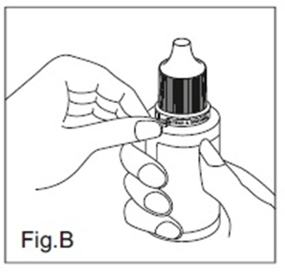 Fig B (Dorzolamidefigb)