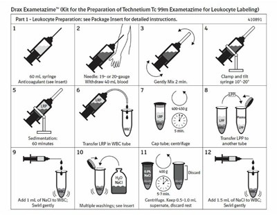 Labeling Schematic 1 (Labeling Schematic)
