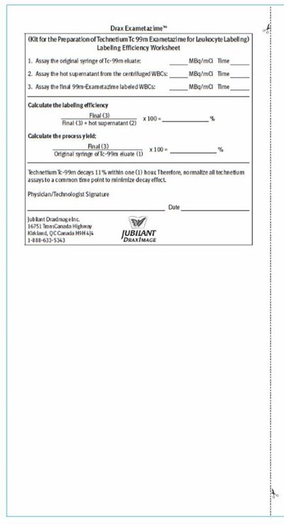 Worksheet Page 2 (Worksheet 2)