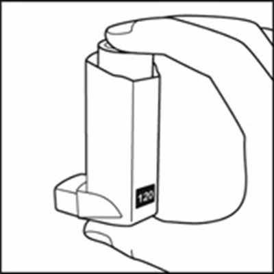 Figure D (Fluticasonepropionatehfa Spl Graphic 08)