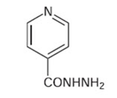 Isoniazid 01