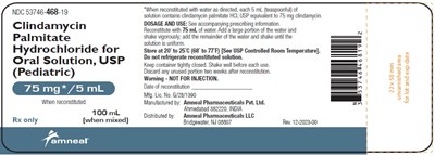clindamycin-palmitate-hcl-for-oral-solution-usp-2.jpg 1 - clindamycin palmitate hcl for oral solution usp 2