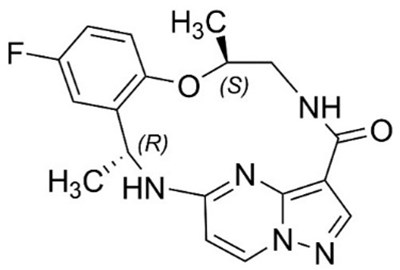 Repo-chem-structure (Repo Chem Structure)