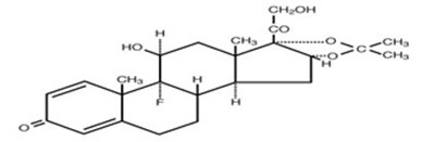 Triam-aceto.jpg (Triam Aceto)