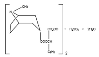Molecular Structure Of Hyoscyamine Sulfate (F9aaec2b 7ae2 459b 8649 Afe760ae5fa2 01)