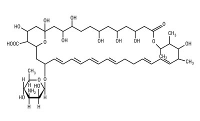 Structural Formula For Nystatin (28415493 E4d9 4d63 A557 9ee7d9433fdd 01)