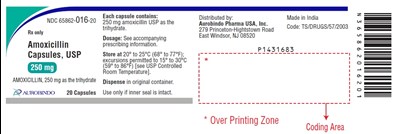 amoxicillin-fig1.jpg PACKAGE LABEL-PRINCIPAL DISPLAY PANEL - 250 mg (20 Capsule Bottle) - amoxicillin fig1