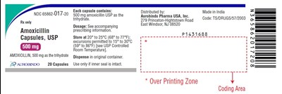 amoxicillin-fig2.jpg PACKAGE LABEL-PRINCIPAL DISPLAY PANEL - 500 mg (20 Capsule Bottle) - amoxicillin fig2