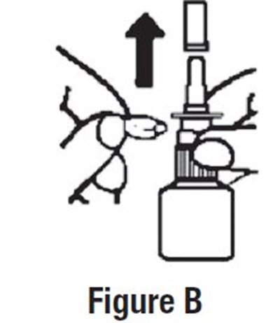 Figure B (Image 03)