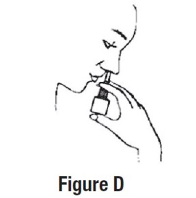 Figure D (Image 05)