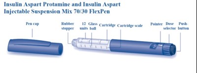 Overview of FlexPen - image 27