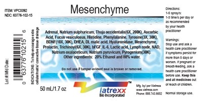 Label - Mesenchyme
