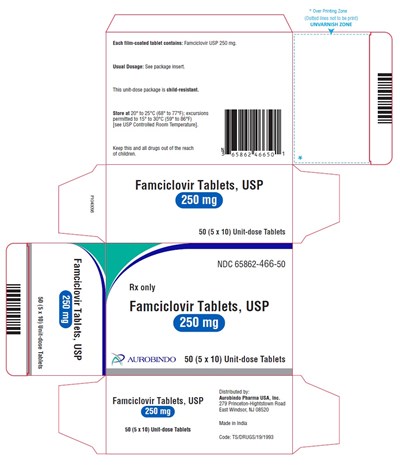 famciclovir-fig4.jpg PACKAGE LABEL-PRINCIPAL DISPLAY PANEL - 250 mg Blister Carton (5 x 10 Unit-dose) - famciclovir fig4