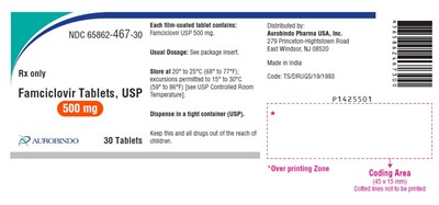 famciclovir-fig5.jpg PACKAGE LABEL-PRINCIPAL DISPLAY PANEL - 500 mg (30 Tablet Bottle) - famciclovir fig5