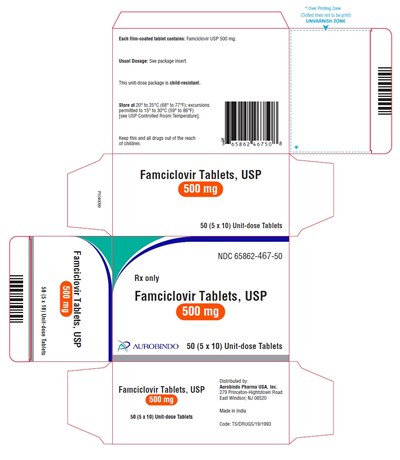famciclovir-fig6.jpg PACKAGE LABEL-PRINCIPAL DISPLAY PANEL - 500 mg Blister Carton (5 x 10 Unit-dose) - famciclovir fig6