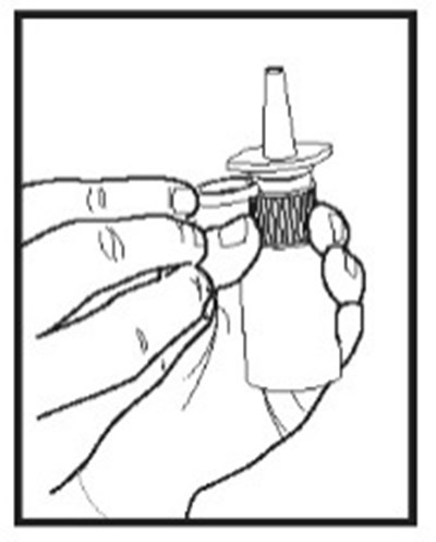 figure-1.jpg figure-1.jpg - figure 1