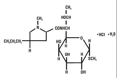 Strc (Lincomycinstructure)