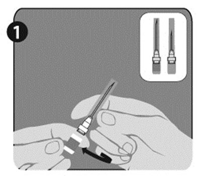 Needle Step 1.jpg (Rabavert Spl Graphic 05)