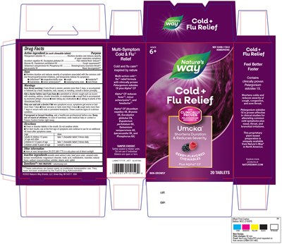 Lhbn15159_a01_coldflurelief_berry.jpg (Lhbn15159 A01 Coldflurelief Berry)