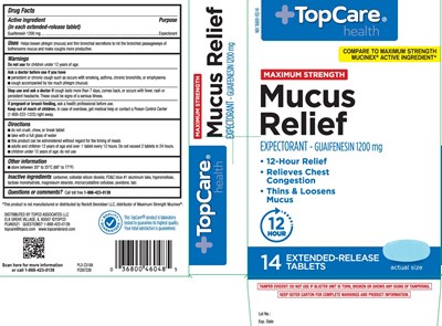 Guaifenesin 1200 mg (Mucus Relief 1200 mg Extended Release Caplets 1)