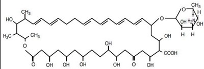 structure.jpg structure.jpg - structure