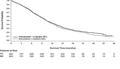 Image (Pemetrexed Injection 3)