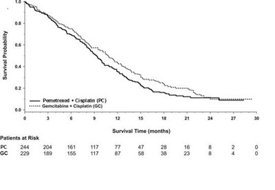 Image (Pemetrexed Injection 5)