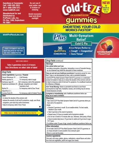 cold-eeze-01.jpg PRINCIPAL DISPLAY PANEL - 36 gummy Bottle Label - cold eeze 01