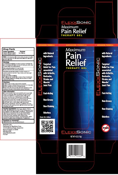 flexxsonic-01.jpg PRINCIPAL DISPLAY PANEL - 113 g Bottle Carton - flexxsonic 01