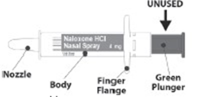 Figure1 (Figure1)