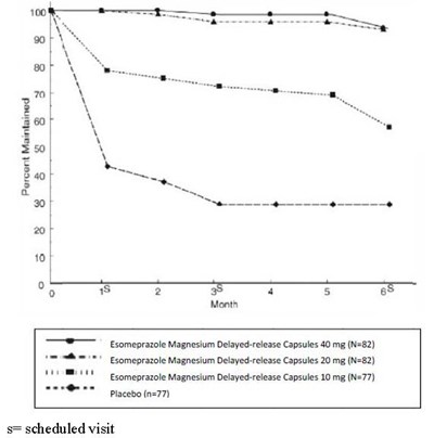 esomeprazole-magnesium-delayed-release-capsules-us-3.jpg Figure 3: Maintenance of Healing Rates by Month (Study 178) - esomeprazole magnesium delayed release capsules us 3
