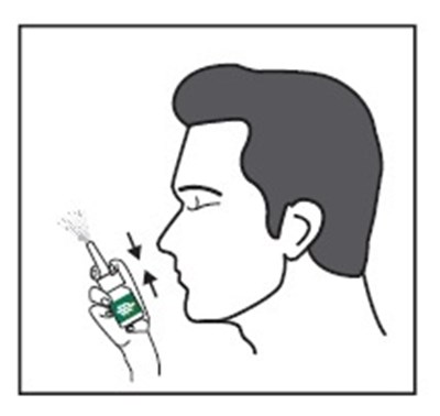 Figure (Fluticasone Fig21)