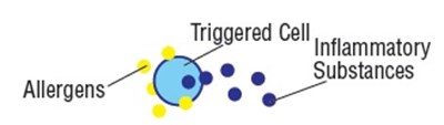 Figure (Fluticasone Fig3)