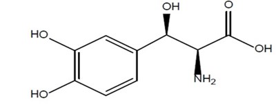 Chemical Structer (Droxidopa Str)