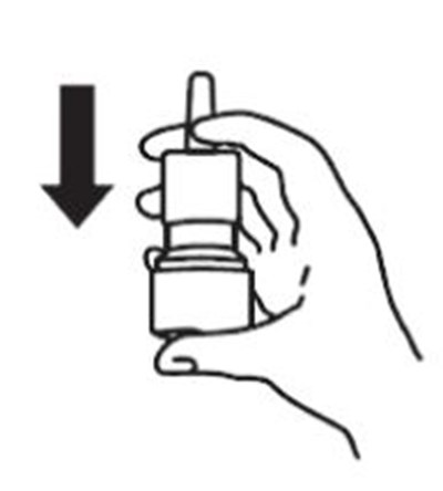 10 (Mometasone Furoate Nasal Spray 11)